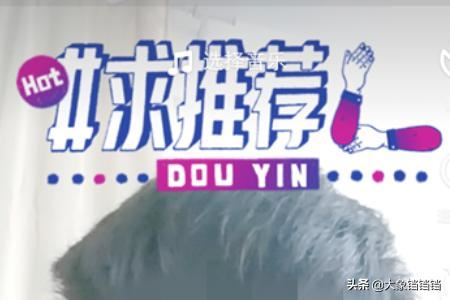 抖音求推薦特效在哪里？抖音求推薦特效怎么弄？