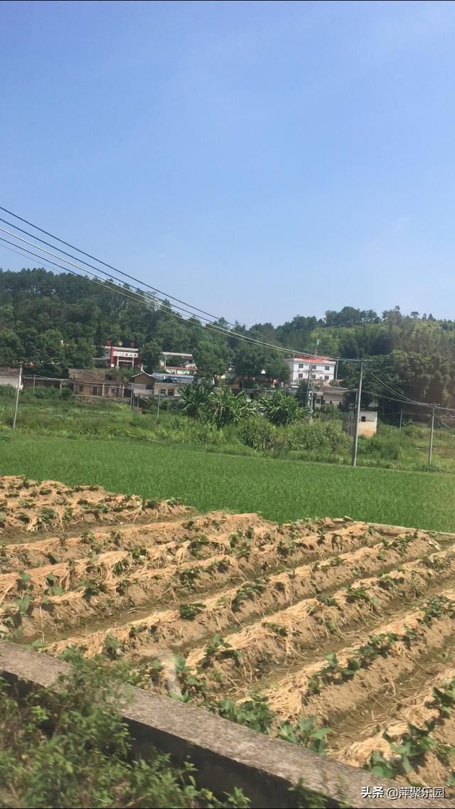 抖音多少播放量有收益圖？