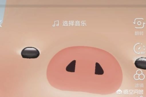 抖音上的豬頭特效怎么弄？