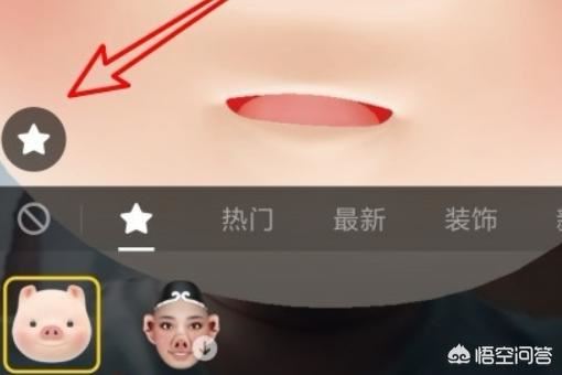 抖音上的豬頭特效怎么弄？