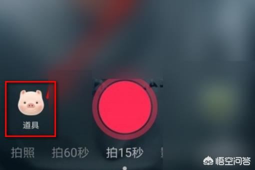 抖音上的豬頭特效怎么弄？