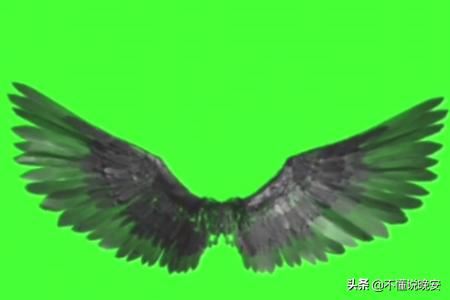 抖音翅膀特效怎么拍？