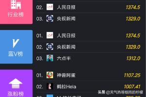 飛瓜數(shù)據(jù)怎么在手機(jī)上查看抖音漲粉榜單？