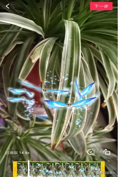 抖音靈性蝴蝶特效怎么弄，好多飛舞蝴蝶特效在哪？
