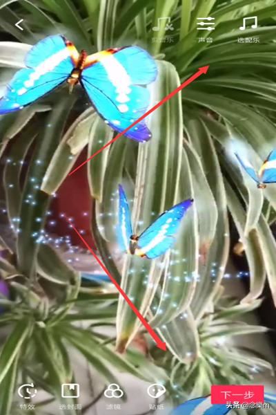 抖音靈性蝴蝶特效怎么弄，好多飛舞蝴蝶特效在哪？