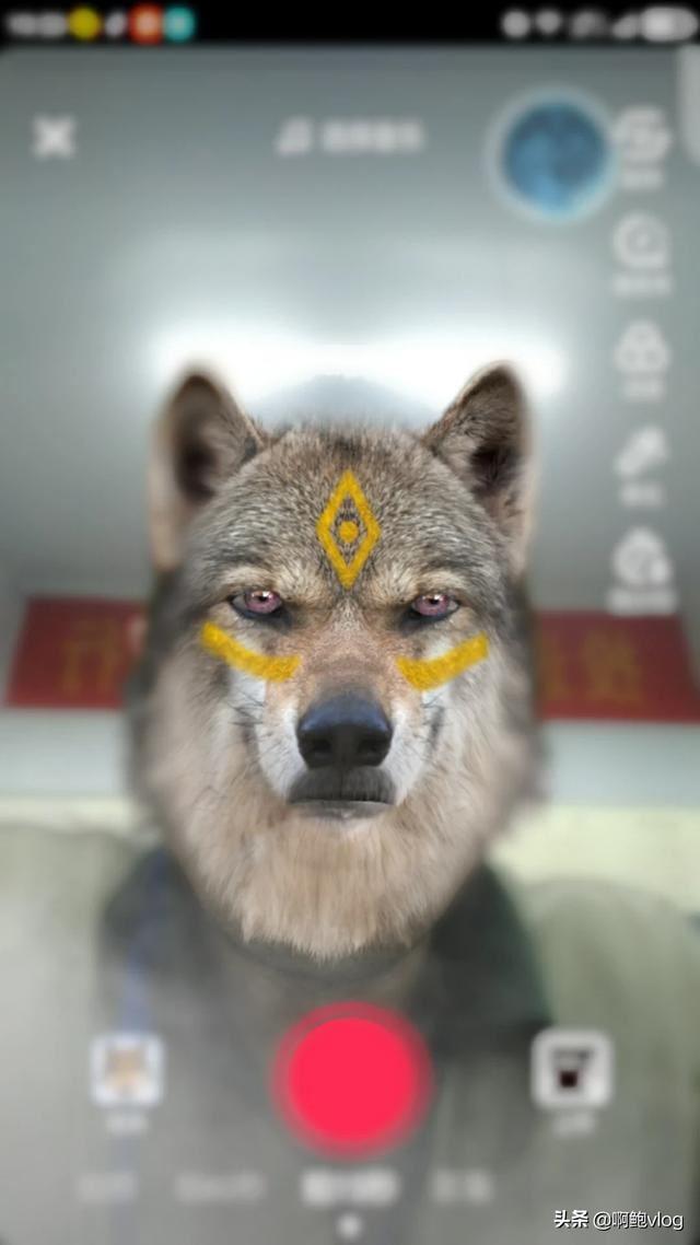 抖音白娘子特效怎么拍？