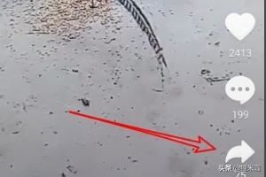 抖音怎么樣取消收藏的視頻，如何刪除收藏的視頻？