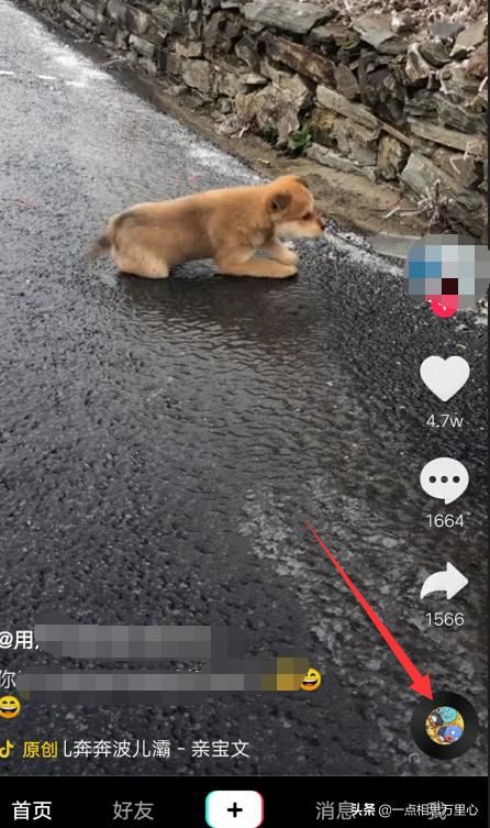 抖音怎樣找同款，怎樣拍同款？