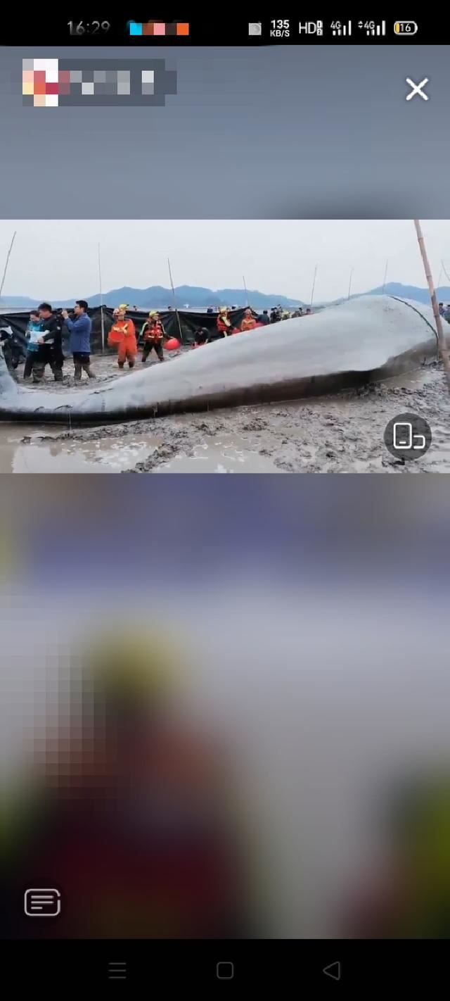 抖音截圖如何截無字全屏？
