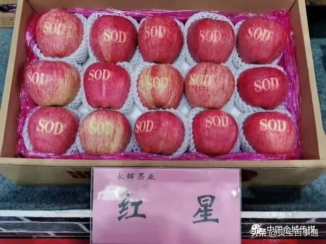 我拍的視頻太模糊，怎么處理清晰？