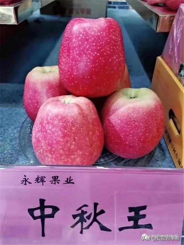 我拍的視頻太模糊，怎么處理清晰？
