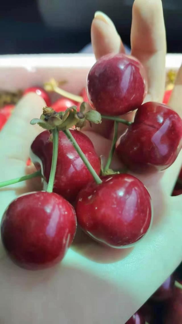 為什么抖音有些人不能視頻通話？