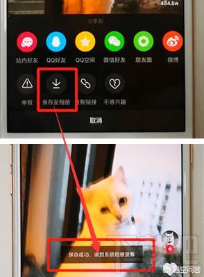 為什么抖音發(fā)布的視頻刪了，沒有保存到相冊？