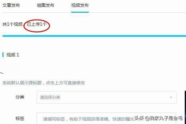 大魚號怎么上傳視頻，怎么發(fā)視頻？