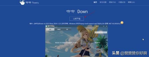 如何在電腦上下載嗶哩嗶哩(B站)的視頻？