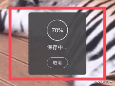 如何下載新浪微博里的視頻？