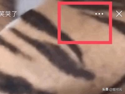 如何下載新浪微博里的視頻？