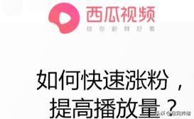 西瓜視頻如何快速漲粉，提高播放量？