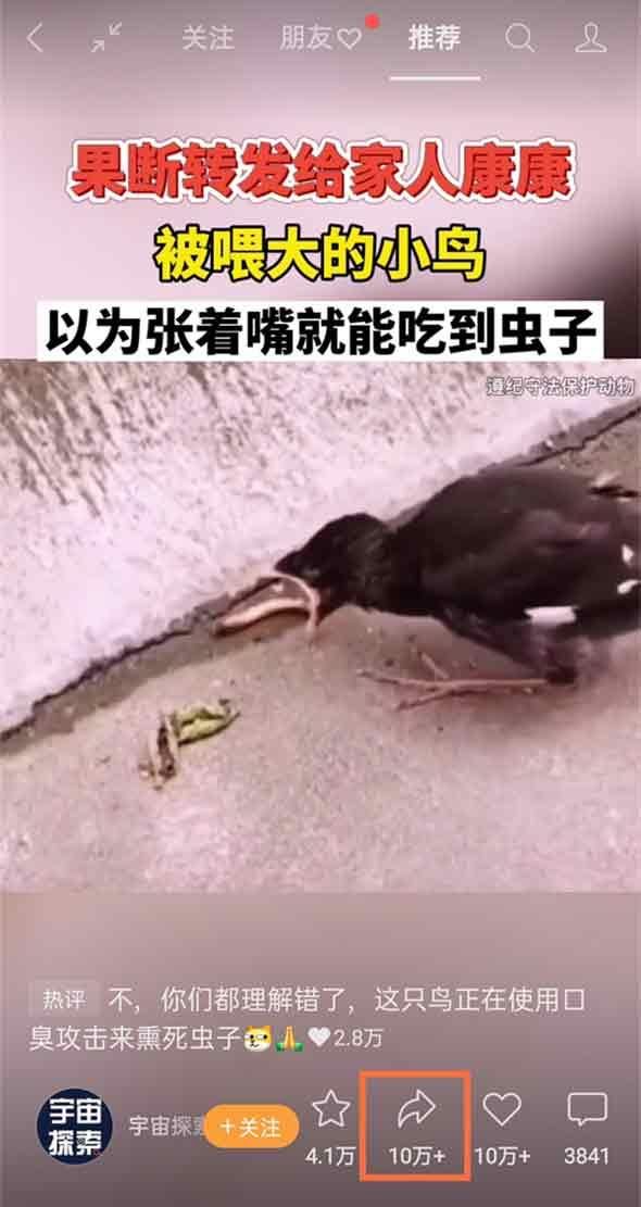 怎樣把視頻轉(zhuǎn)發(fā)給朋友？