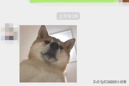 如何在微信對(duì)話(huà)中找到以前發(fā)過(guò)的照片、視頻？