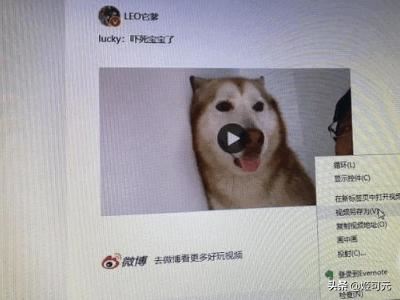 如何下載新浪微博里的視頻？