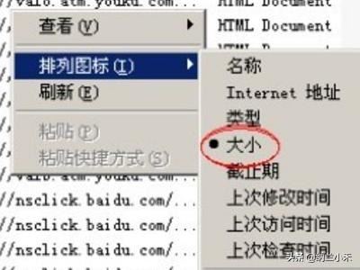 如何下載網(wǎng)頁中的視頻文件？