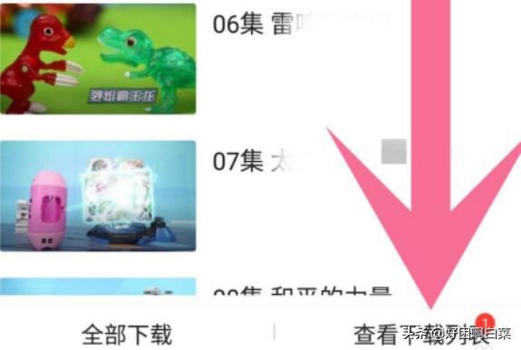 如何把愛奇藝的視頻下載到本地？