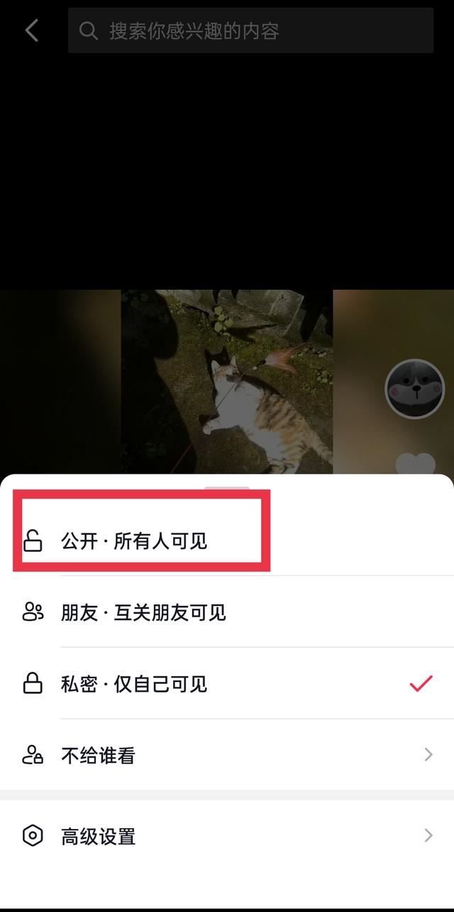 視頻怎樣取消設(shè)為私密的設(shè)置？