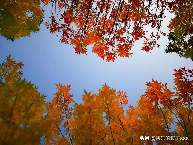 誰(shuí)推薦幾首適合做旅游視頻背景音樂(lè)的歌曲最好？