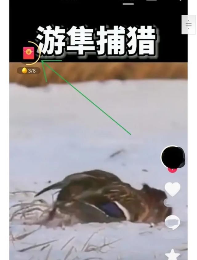 抖音如何看免費(fèi)小說(shuō)？