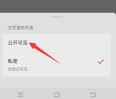 抖音的喜歡怎么公開？