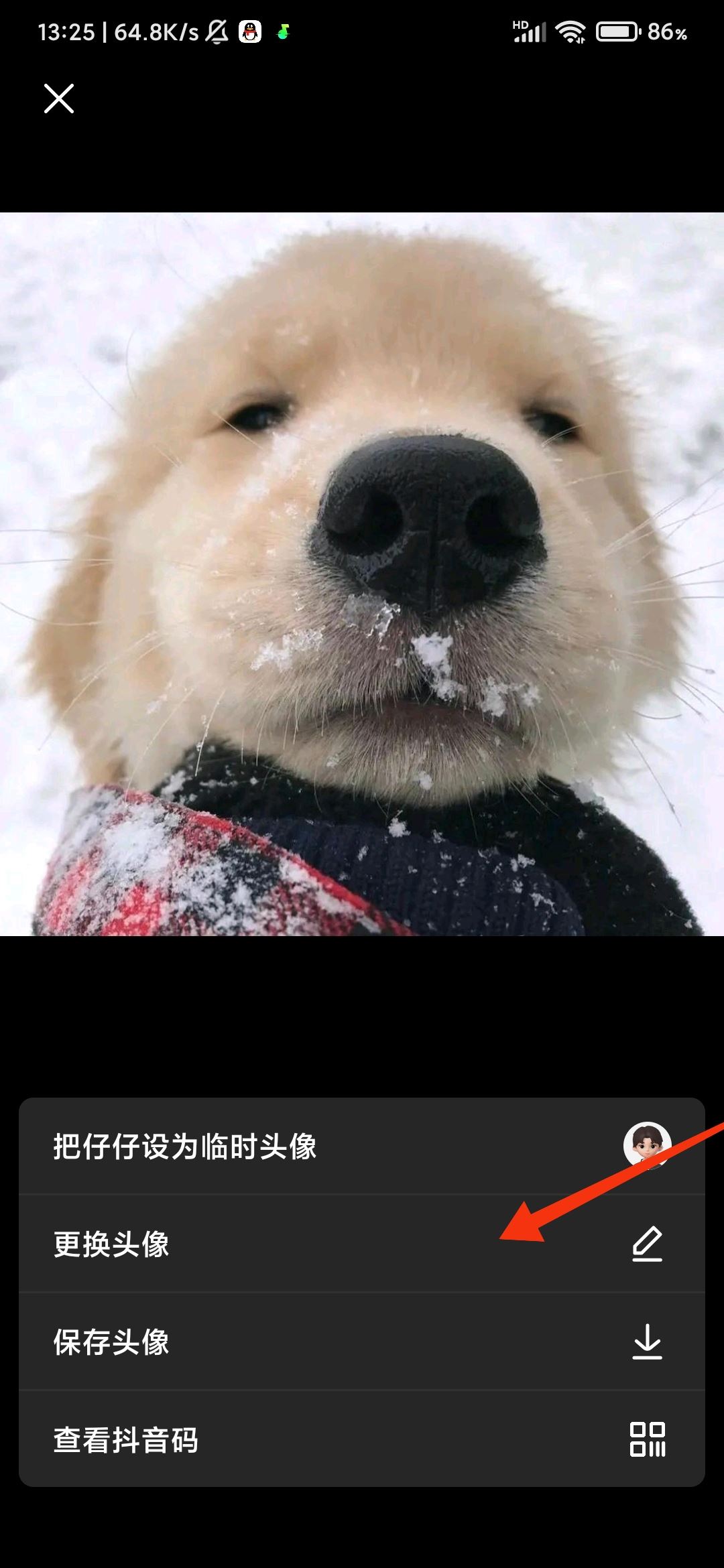 抖音頭像發(fā)布到日常怎么關(guān)？