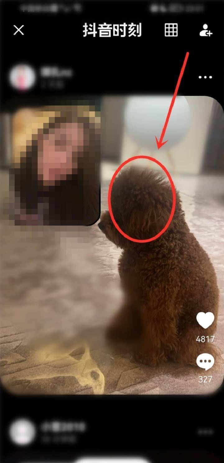 別人的抖音時(shí)刻怎么看？