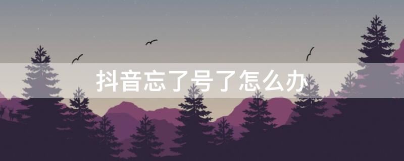 抖店登錄賬號忘了？