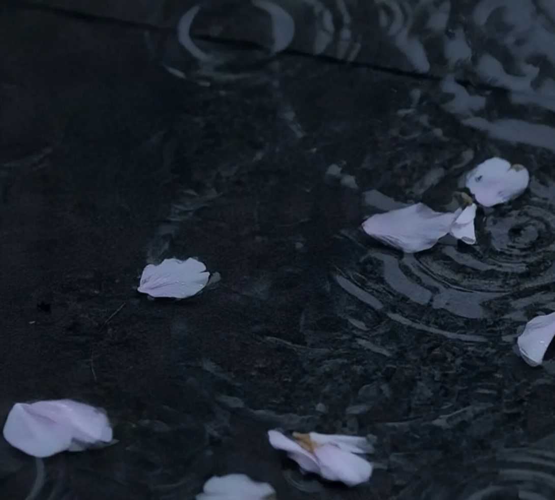 怎么把抖音的紅包小浮窗關了？