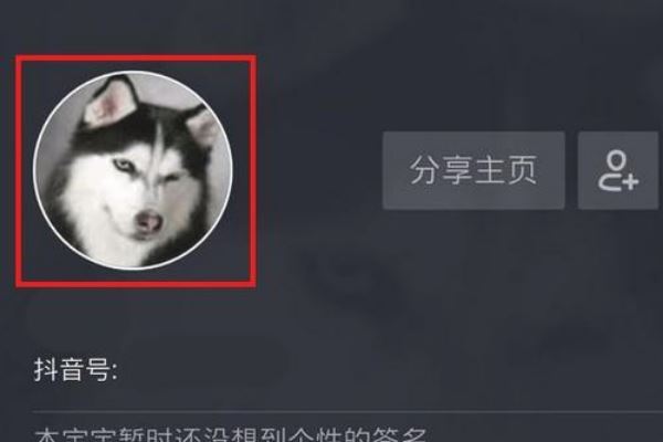 抖音怎么制作透明頭像？