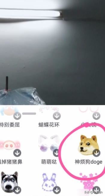 抖音如何甩狗頭?抖音甩狗頭怎么玩?
