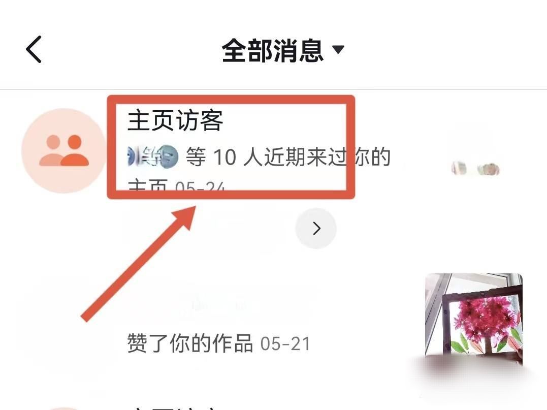 抖音瀏覽器怎么查看全部訪客？