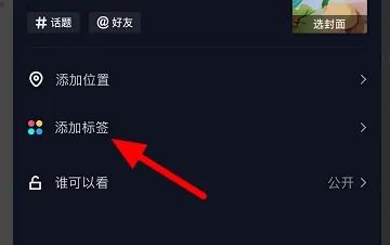 抖音上照片上的標(biāo)簽如何添加？