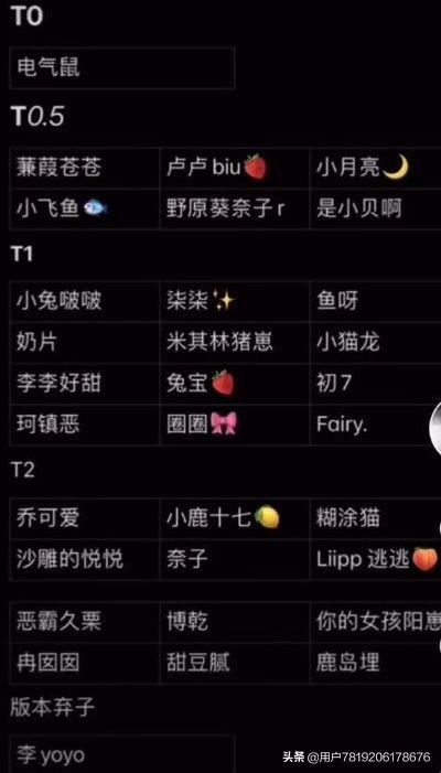 抖音t1是什么意思？