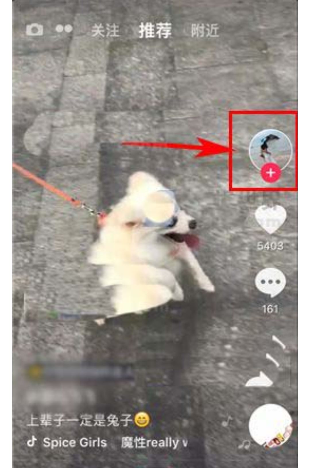 怎么拉黑抖音博主？