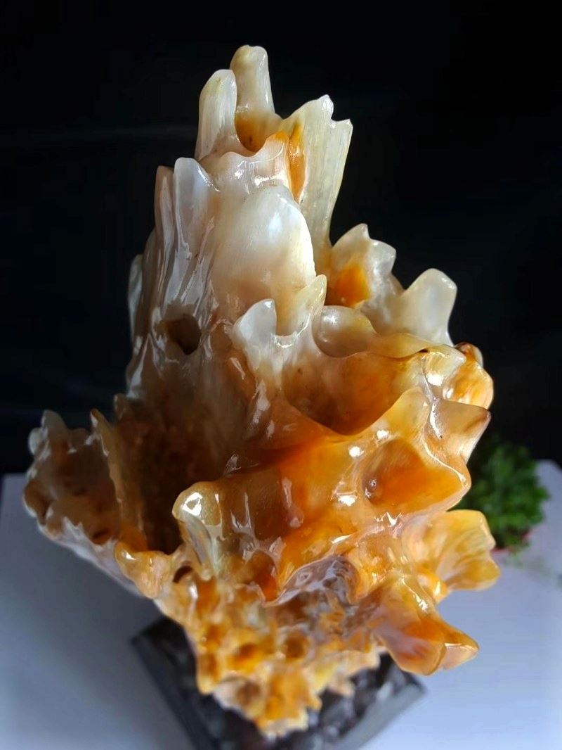 直播間的緬甸樹(shù)化玉是真的嗎？