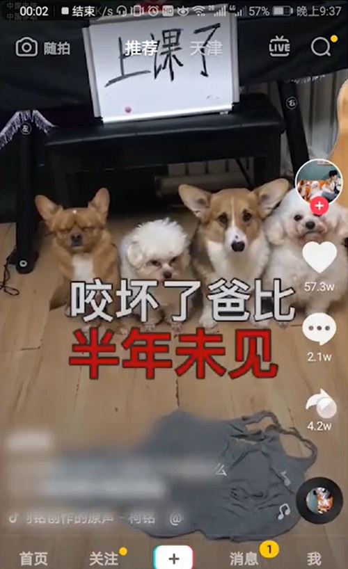 抖音設(shè)置鈴聲的方法？