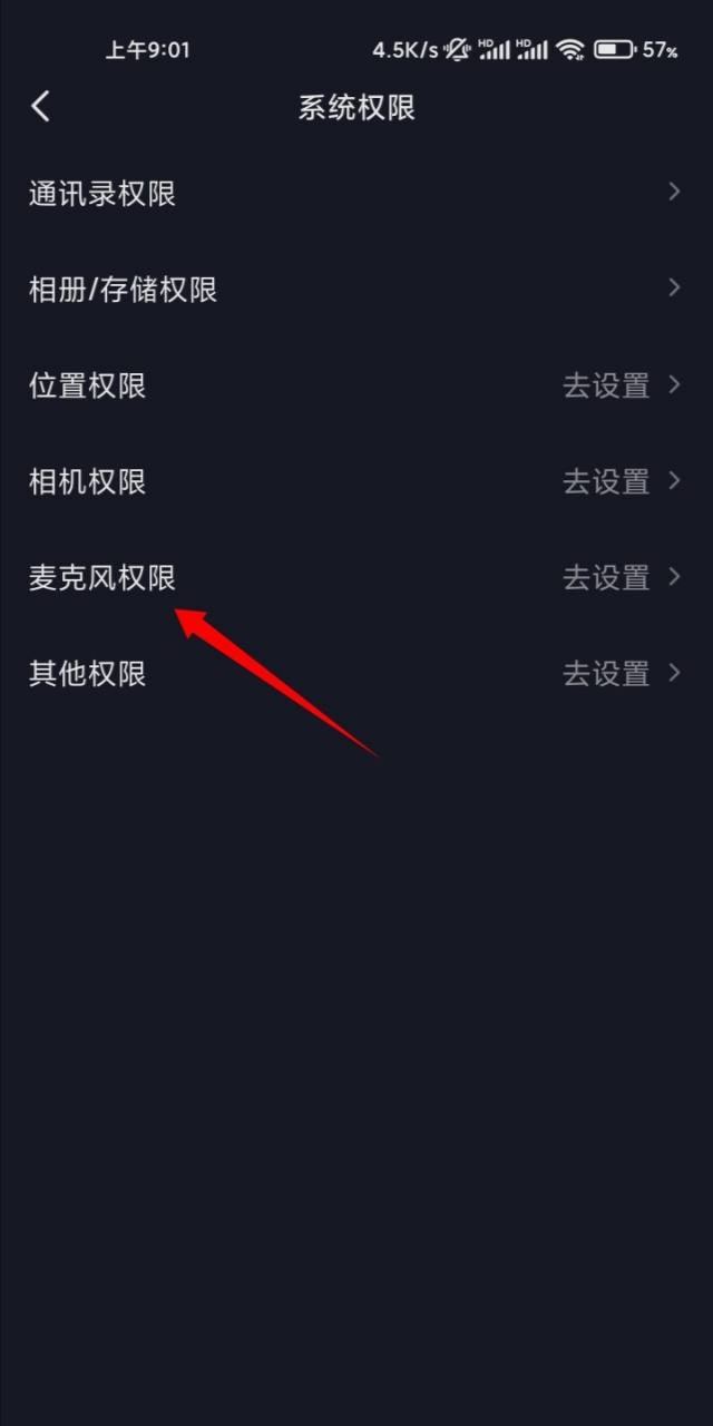 抖音拍視頻怎么打開(kāi)麥克風(fēng)？