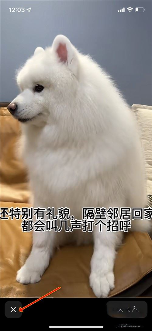 刷抖音怎么全屏無文字遮擋？