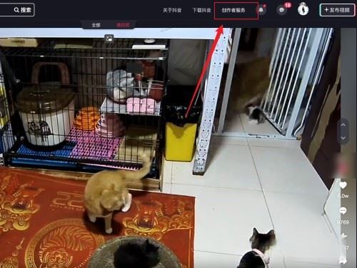 抖音怎么拍合集系列？