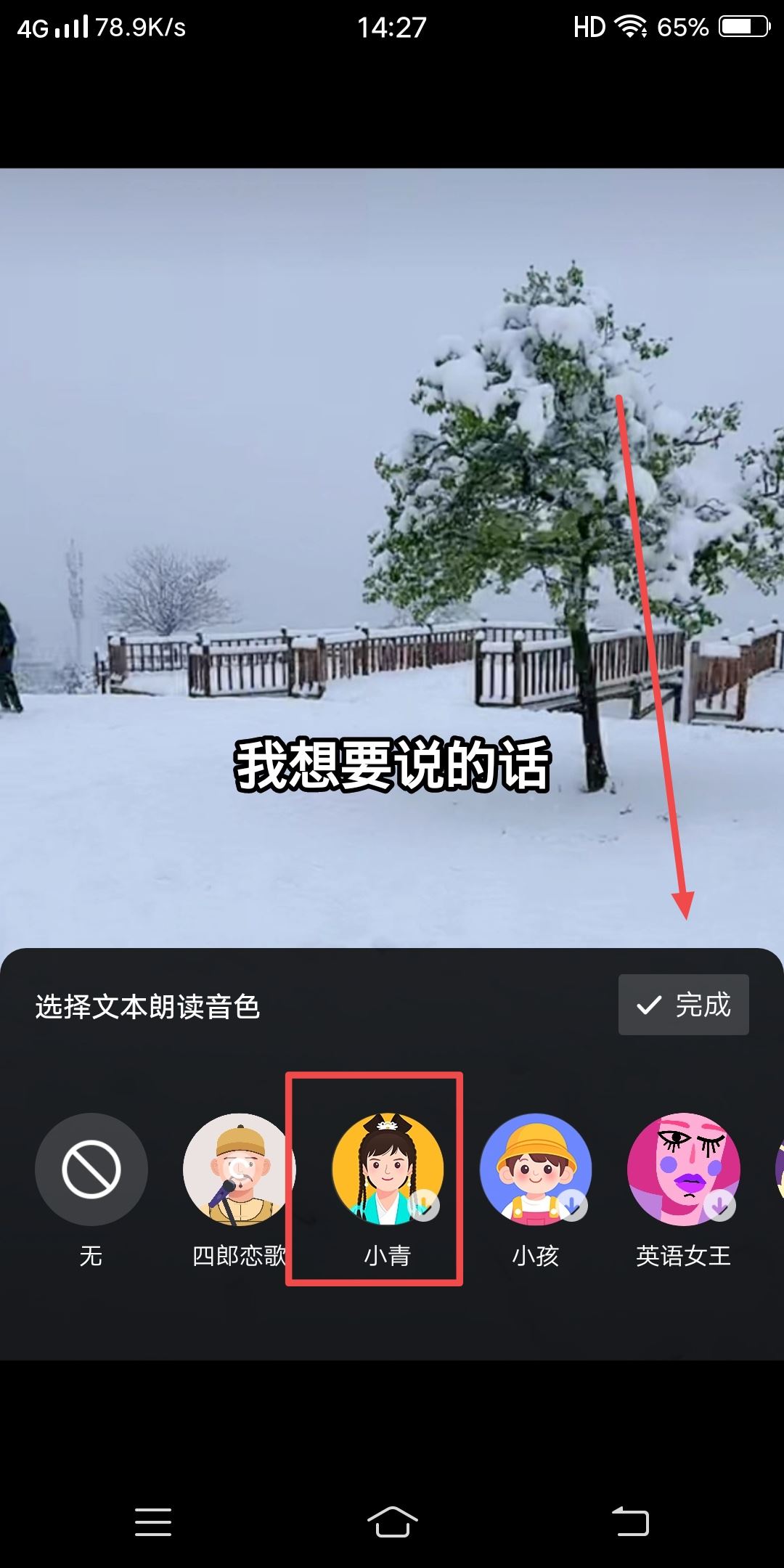 抖音發(fā)視頻怎么配自己想說的話？