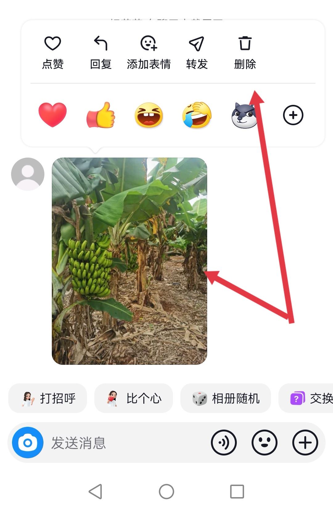 抖音回復(fù)的圖片可以刪除嗎？