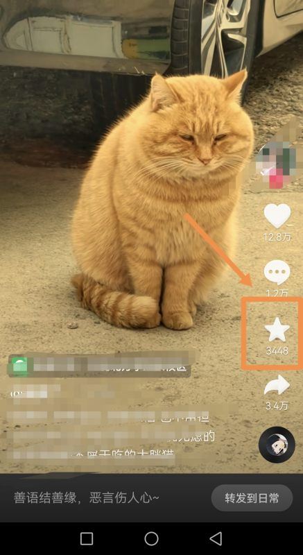 抖音收藏視頻不見了怎么清除??？