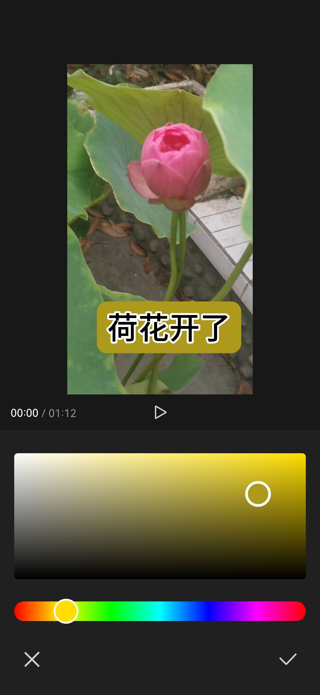 抖音字幕黃底黑字怎么弄？